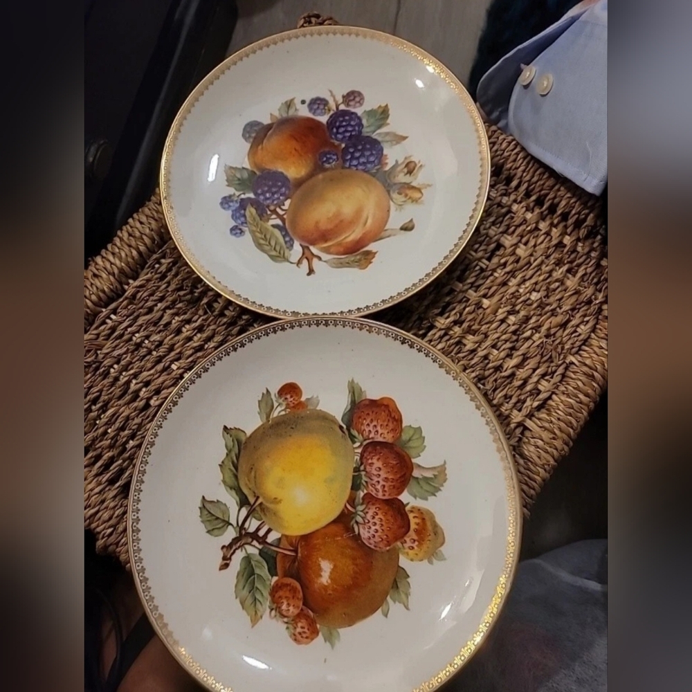 2 Mitterteich  Bavaria 7 1/2" Fruit  Plates Made In Germany Vintage